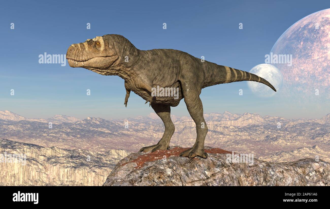 T-Rex Dinosaurier, Tyrannosaurus Rex Reptilien stehen auf Felsen, prähistorisches Jura-Tier in menschenleerer Natur, 3D-Illustration Stockfoto