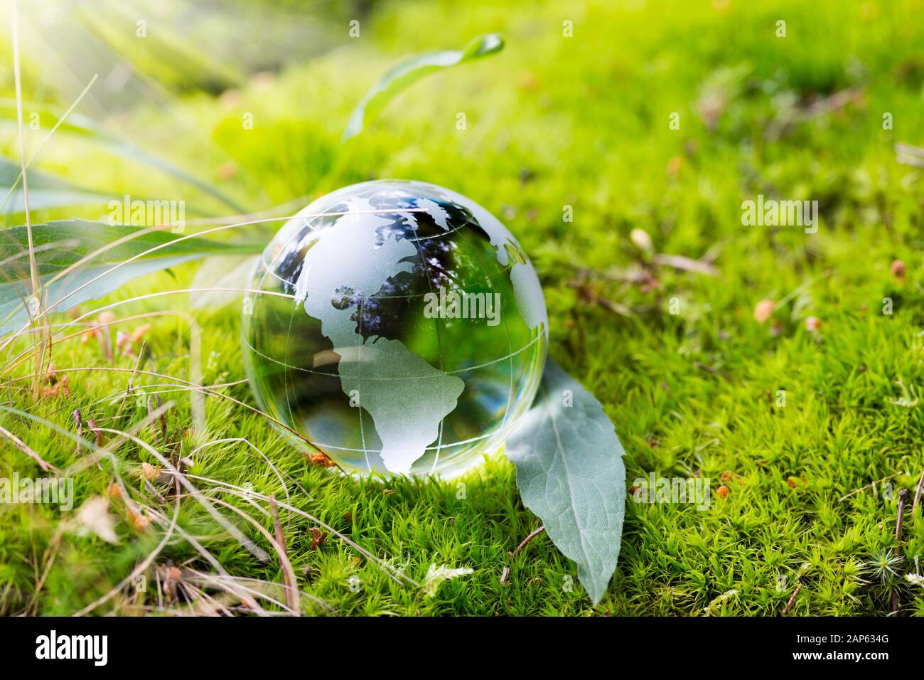 Crystal Globe ruht auf Moss in einem Wald. Stockfoto
