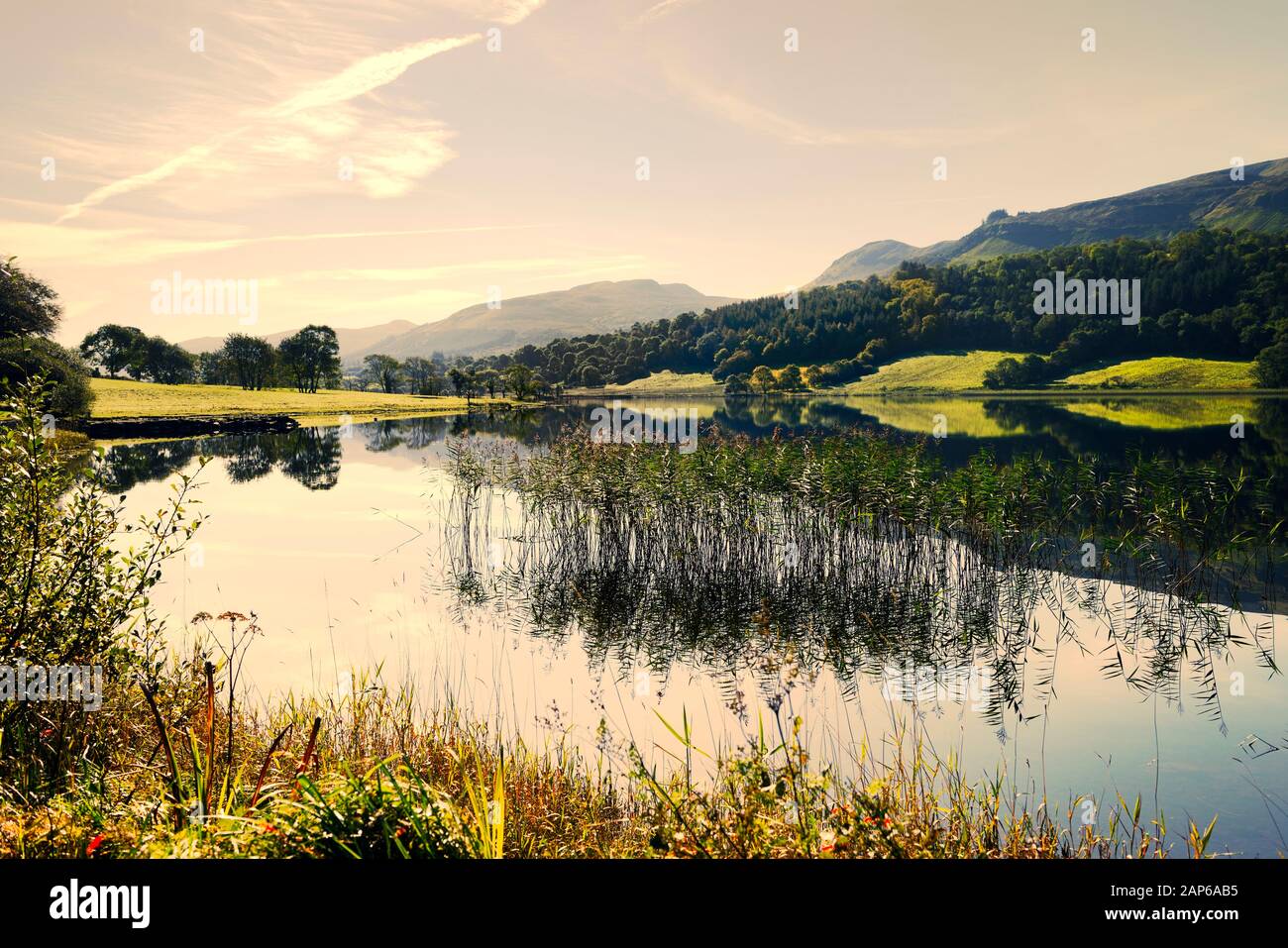 E. über dem Leitrim Ende des Glencar Lough an der Bezirksgrenze zwischen Leitrim und Sligo, Irland. Sommer. Ein Ort in W. B. Yeats Gedicht The Stolen Child Stockfoto