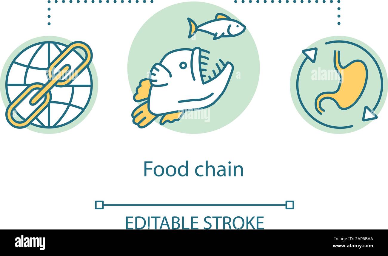 Food Chain Konzept Symbol. Um der Plünderung. Essen web. Keystone Arten. Globale Ökosystem. Trophische Ebene. Ökologisches Modell Idee dünne Linie Abbildung Stock Vektor