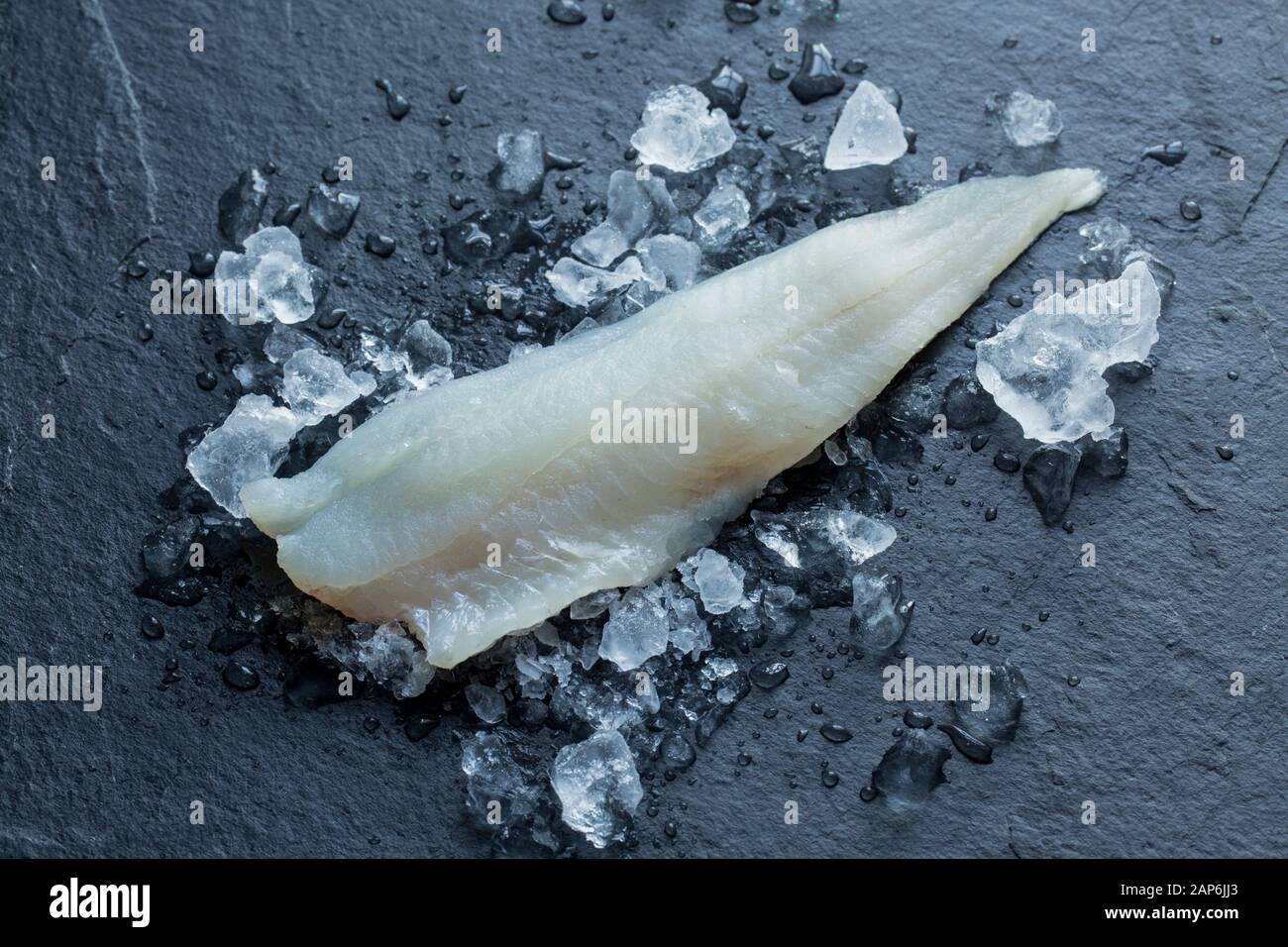 Ein einziges rohes Whiting-Filet, Merlangius merlangus, aus einem im Ärmelkanal gefangenen Whiting auf Stab und Linie von einem Boot. Eis und dunkles Schiefer-Backgr Stockfoto