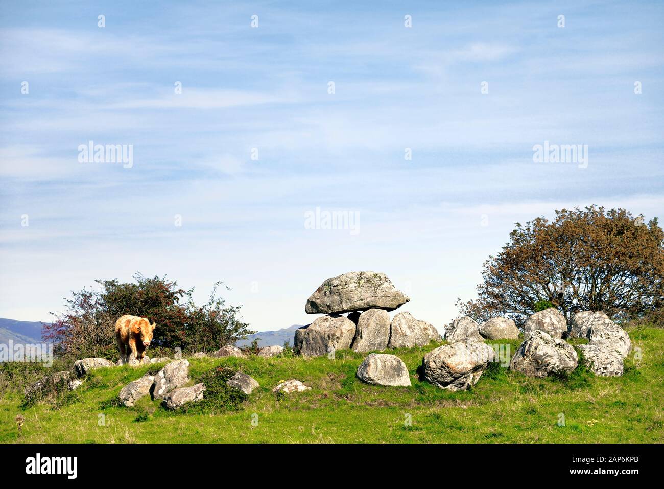 Carrowmore Jungsteinzeit Megalith-Grabanlage 5000+ Jahre alt unterhalb von Knocknarea Mt., Sligo, Irland. Grab 7 Passage Tomb mit steinerner Umkreisung Stockfoto
