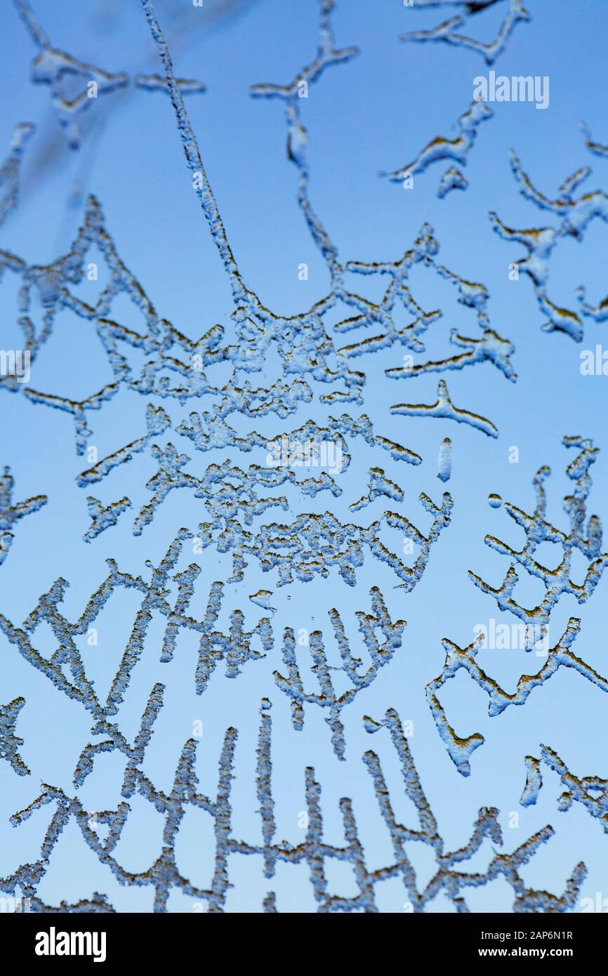 Gefrorenes Wasser in einem Spinnennetz am Ufer des Flusses Dorset Stour, das nach einer erfrierenden Nacht im Januar 202 in der Morgensonne auftauen wird Stockfoto