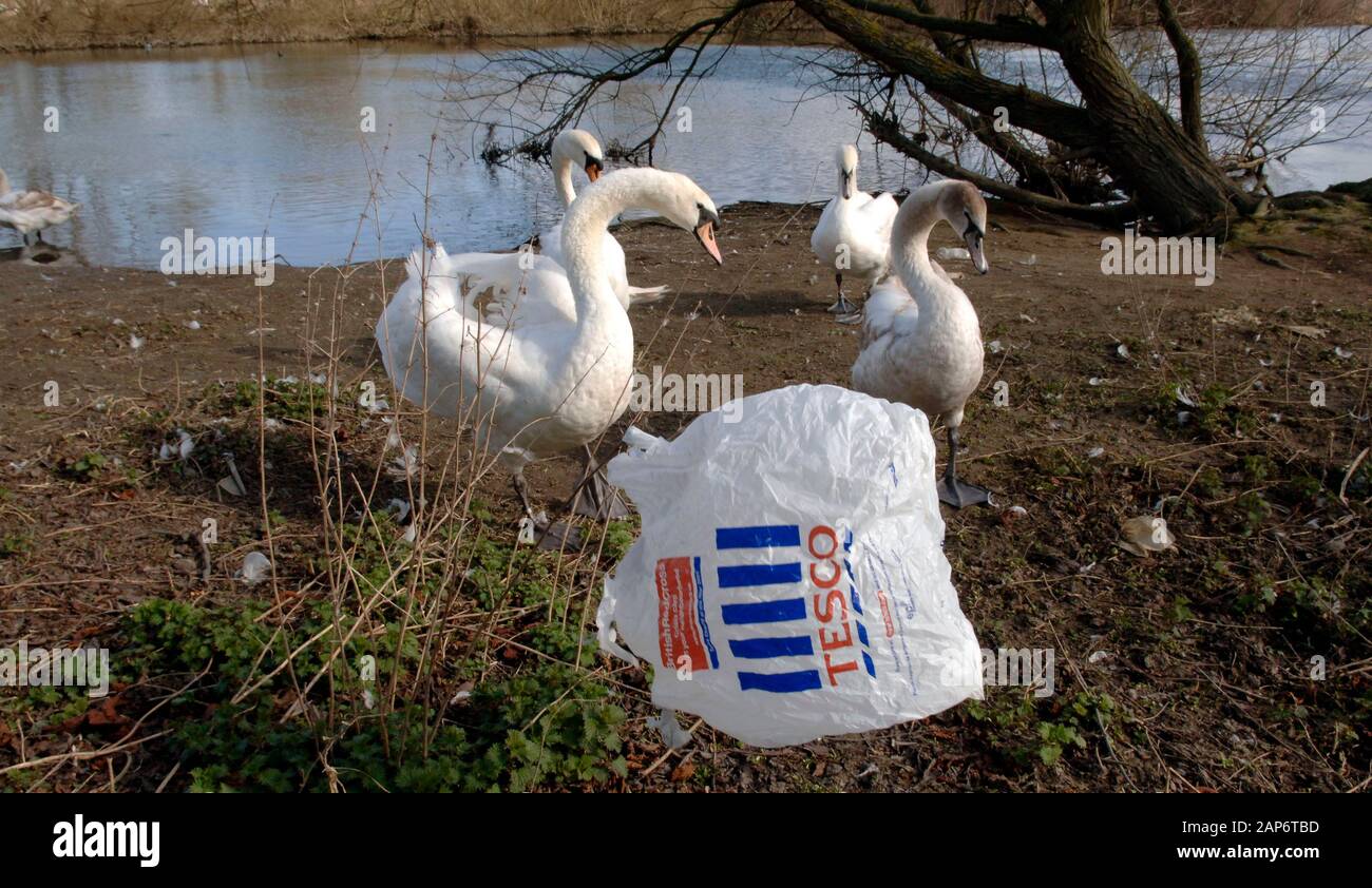Plastiktüten, die 2008 im Tesco Superstore an der Themse in Reading entsorgt wurden, inmitten von Plänen, die kostenlose Lieferung von Einwegbeuteln zu reduzieren, die von Supermärkten ausgegeben wurden. Stockfoto