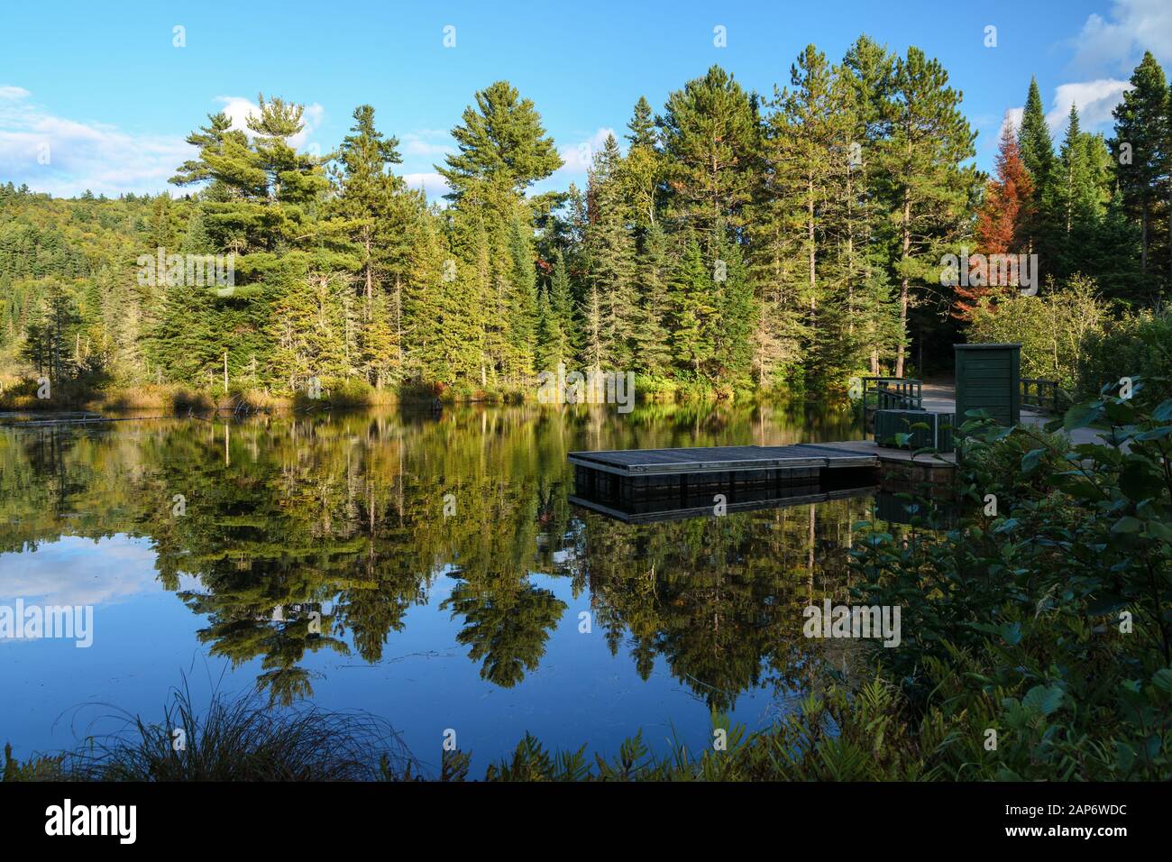 La Mauricie National Park typische Landschaft im frühen Herbst, Provinz Quebec, KANADA. Stockfoto