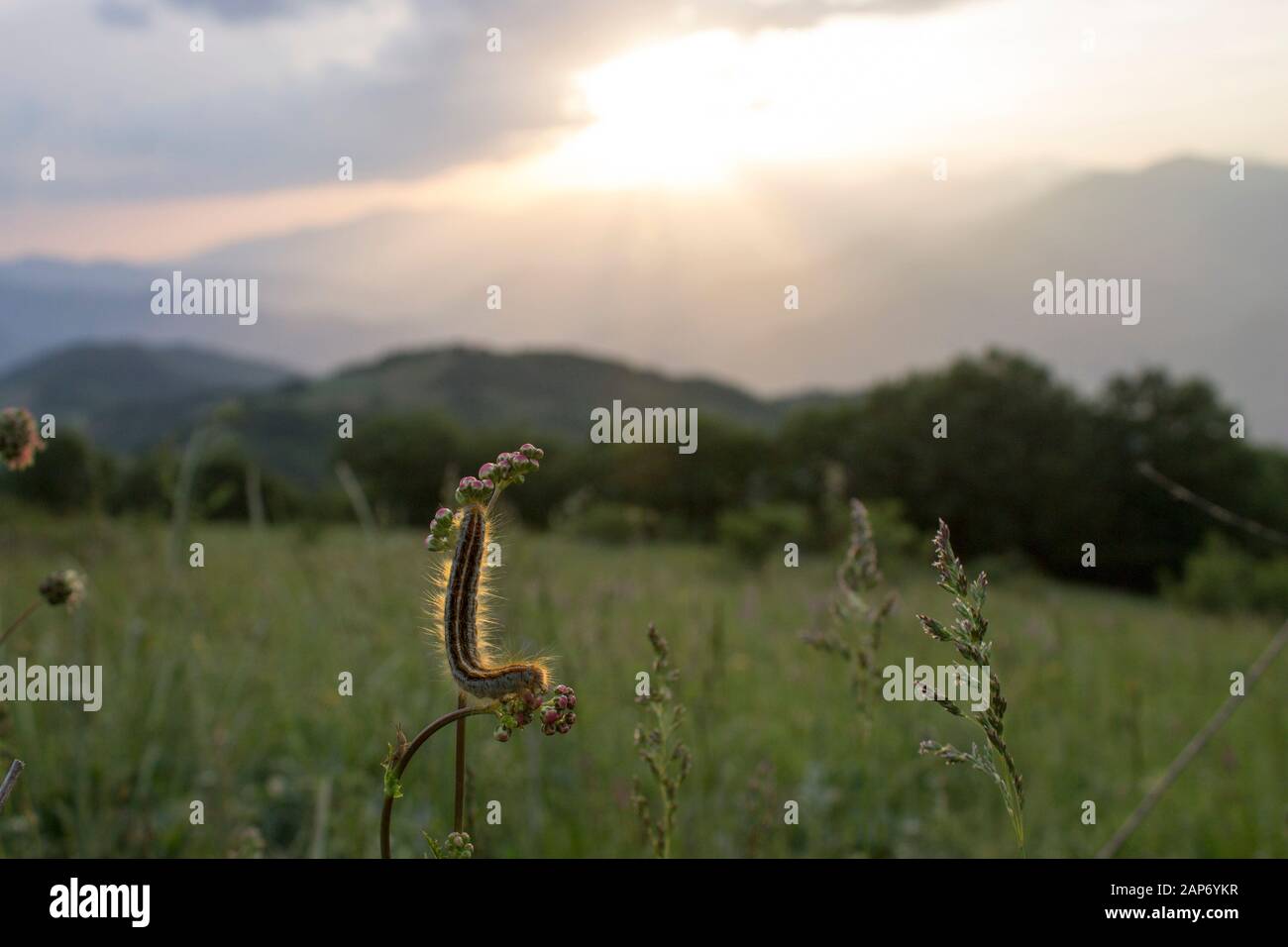 Andere Welt, gleicher Himmel Stockfoto