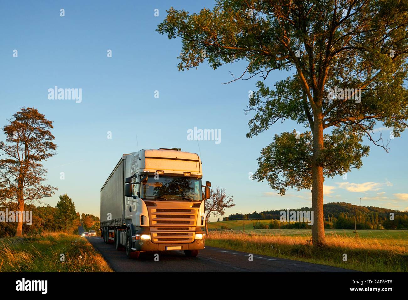 Weißer Lastwagen fuhr am frühen Abend auf Asphaltstraße unter der Baumallee auf dem Land Stockfoto