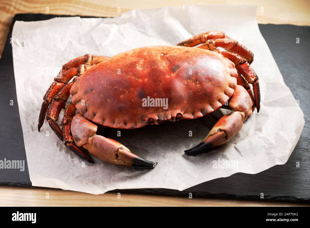 Vorbereitet Schwedische crab Closeup auf eine Verpackung Papier Stockfoto