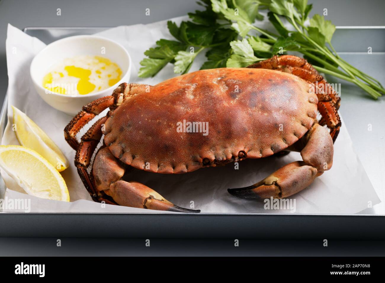 Vorbereitet schwedische Krabben serviert mit Zitrone, Petersilie und Butter gezeichnet Stockfoto