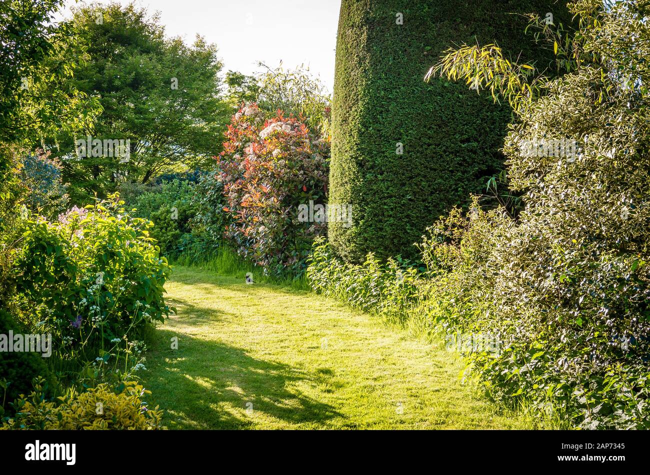 Gartenweg gras Fotos und Bildmaterial in hoher Auflösung Alamy