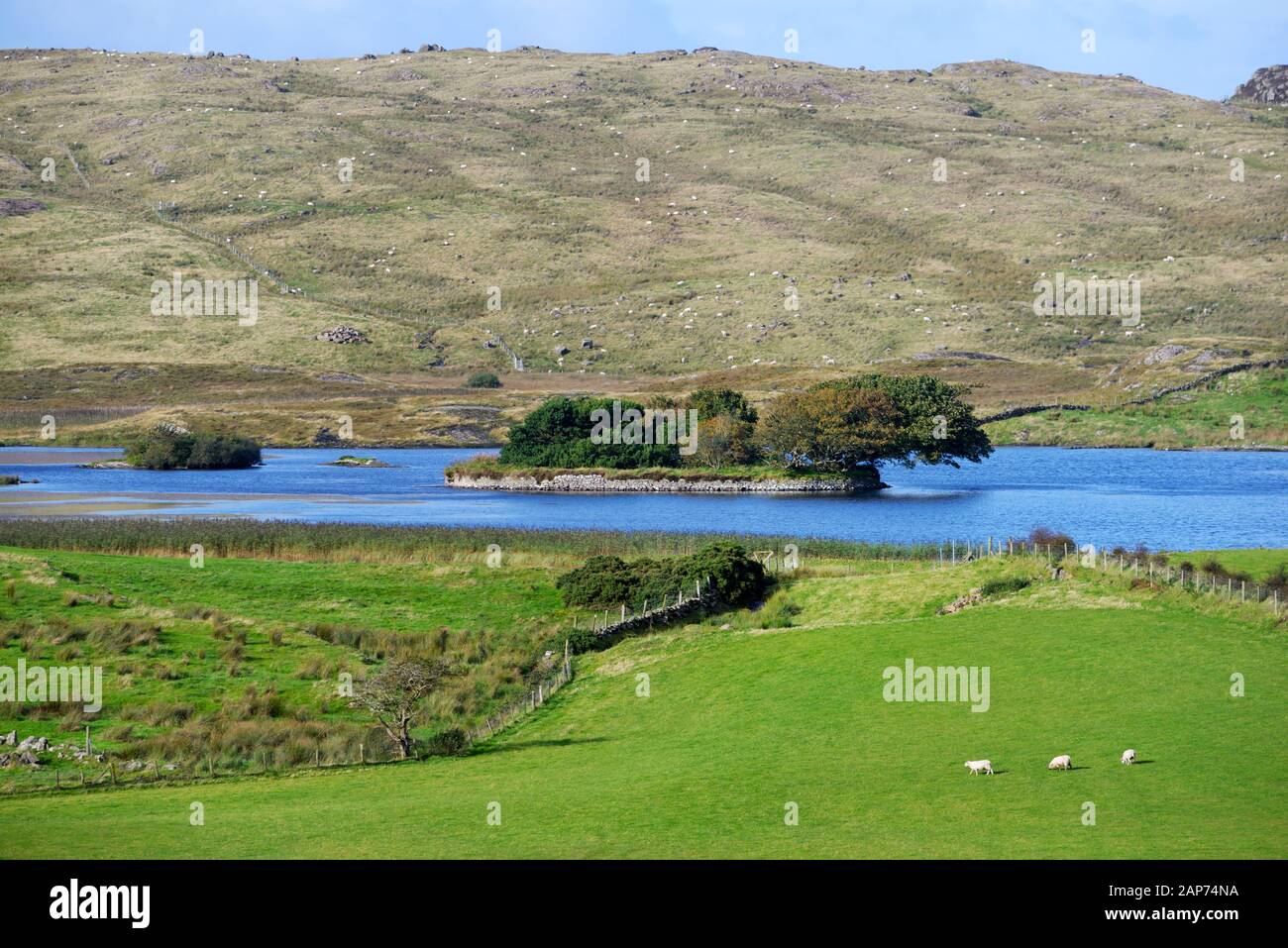 Lough Na Cranagh. Prähistorischer Krannog, ein defensiver Mann machte Insel, im Lough of the Crannog auf den Meeresklippen von Fair Head. Ballycastle, N. Ireland Stockfoto