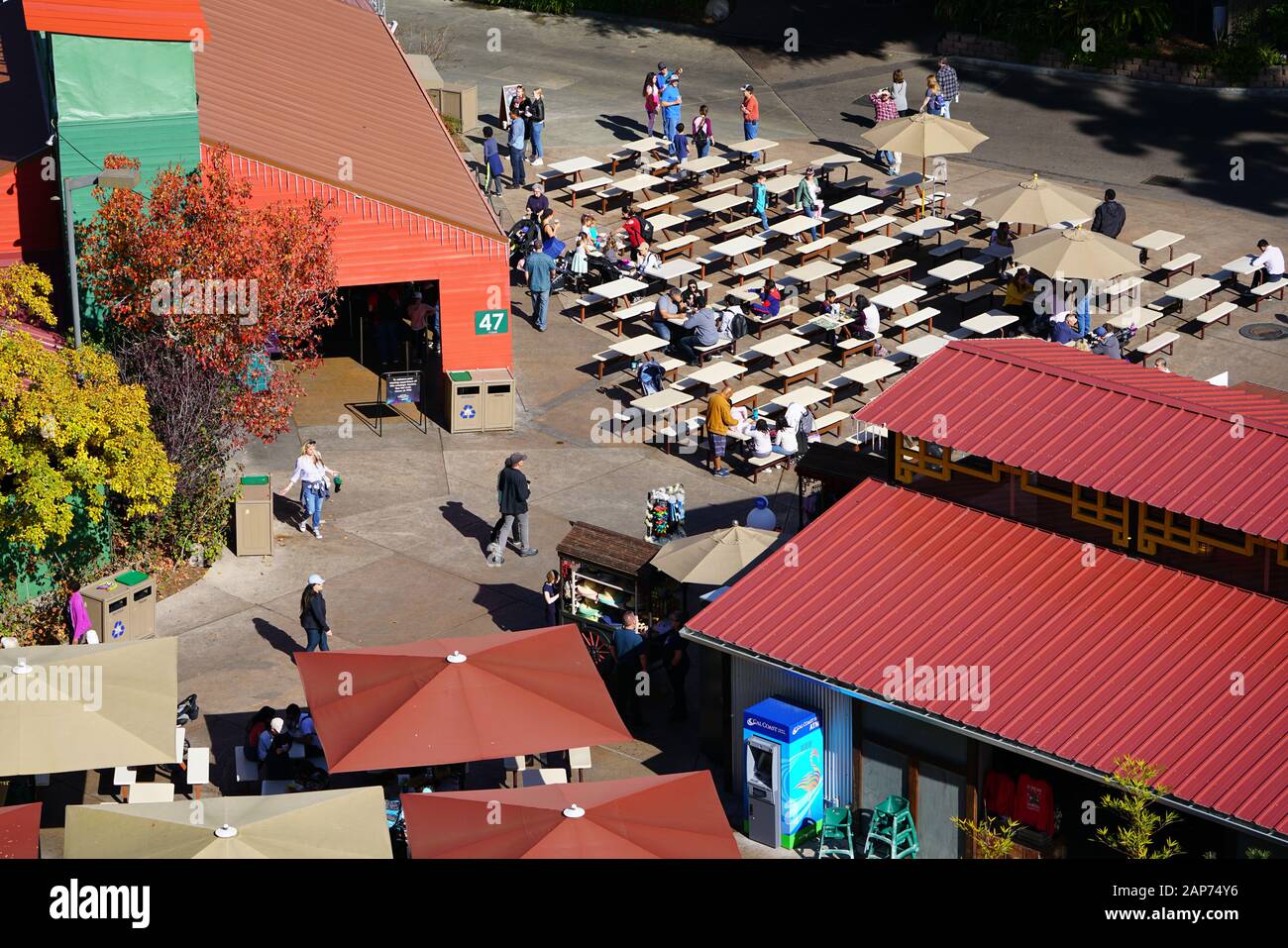 San DIEGO, CA -3. JANUAR 2020 - Blick auf den Zoo von San Diego, einem Wahrzeichen des Zoologischen Parks in San Diego, Kalifornien, USA. Stockfoto