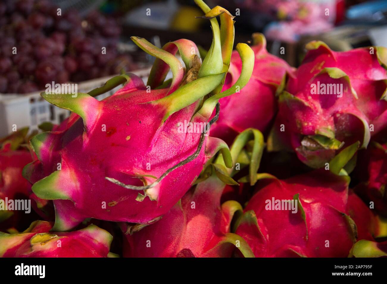 Drachenfrucht Thailand Obst Stockfoto