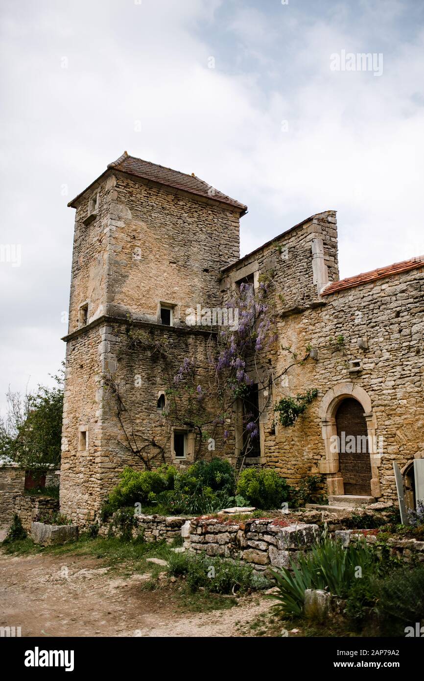 Steingebäude mit Wisteria in der französischen Landschaft Stockfoto