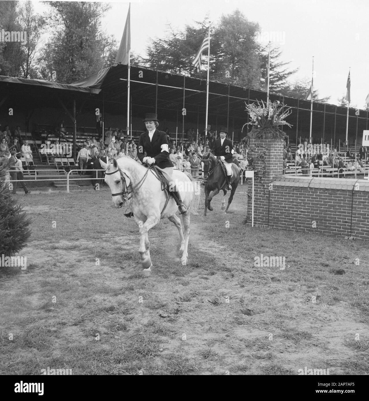 CHIO in Rotterdam, Teilnehmer Preis für den elegantesten Pferd Datum: August 25, 1960 Location: Rotterdam, Zuid-Holland Stichworte: Teilnehmer Name der Einrichtung: CHIO Stockfoto