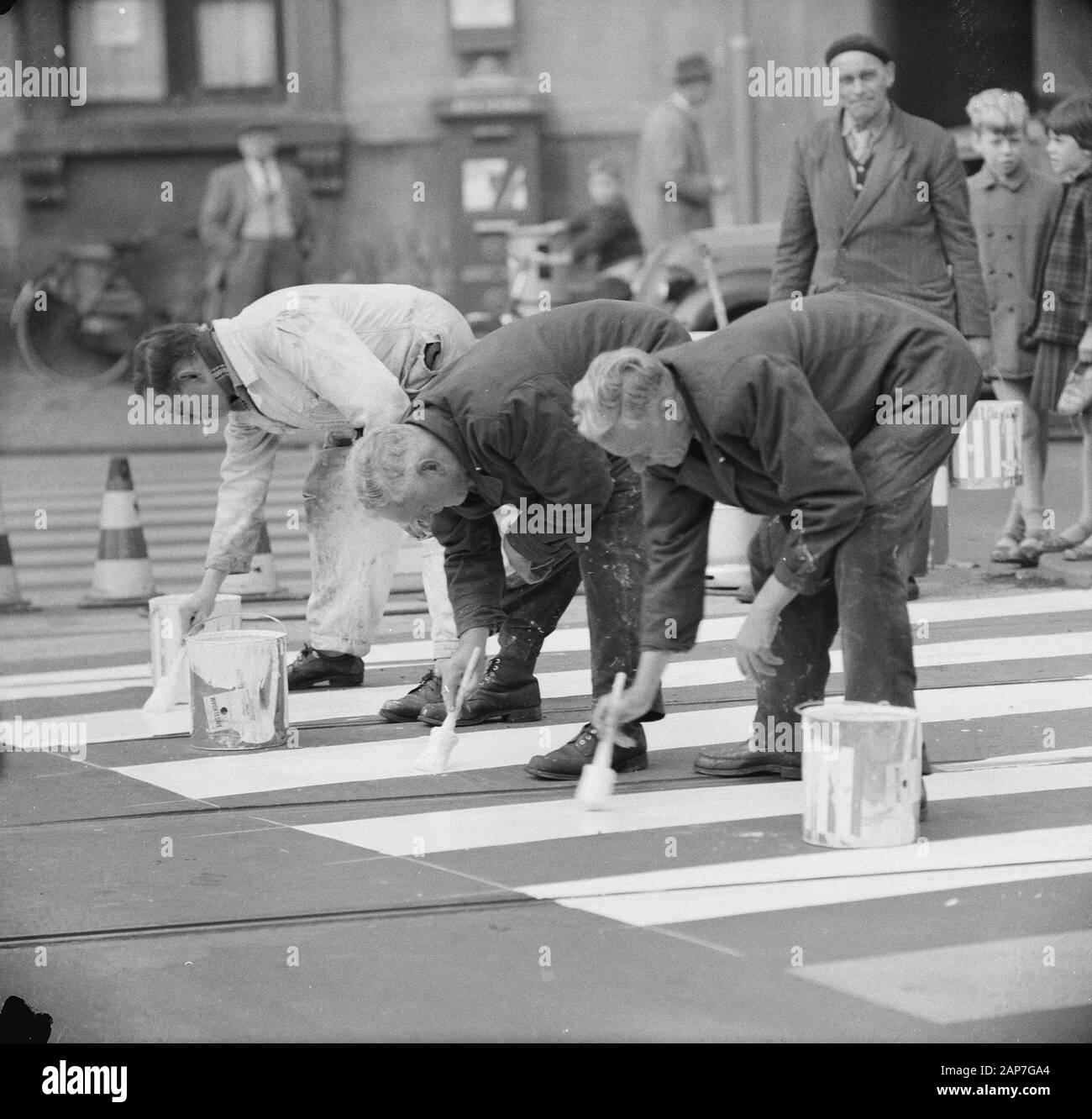 Malte zebra Pfade Datum: 30. Oktober 1961 Schlüsselwörter: ZEBRAS Stockfoto