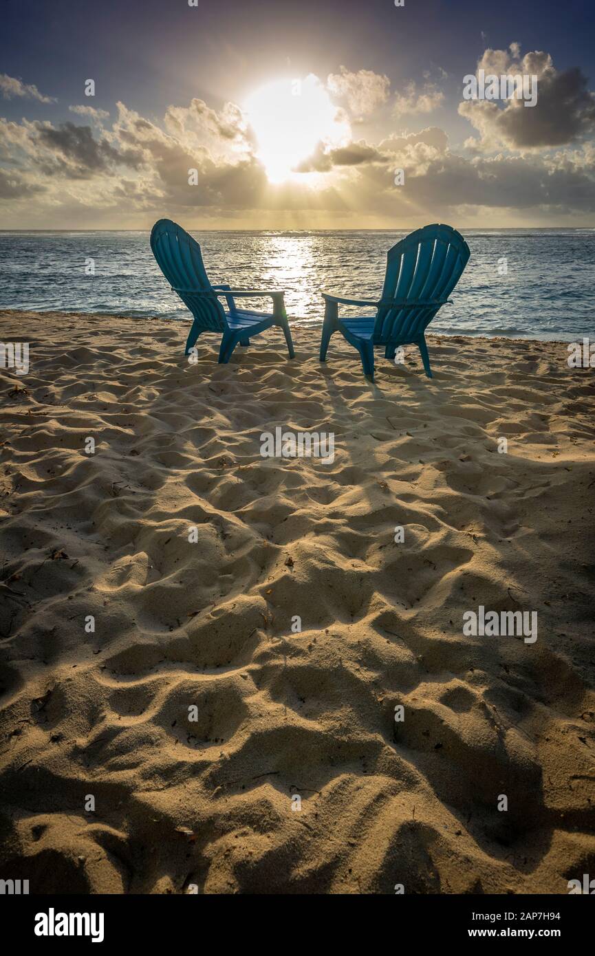 Liegen am Strand mit Palmen Stockfoto