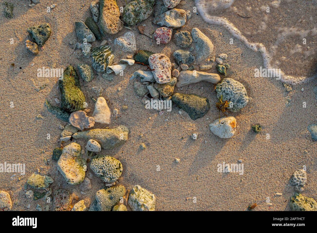 Korallen & Felsen am Strand mit Brandung Stockfoto