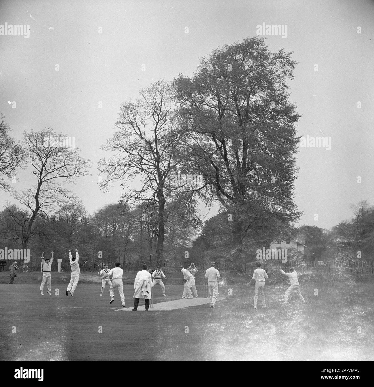 Kricket Saison geöffnet. Haarlem versus VRA. Spiel Moment für Mittagessen Datum: Mai 12, 1963 Ort: Haarlem Schlüsselwörter: Kricket, Sport Stockfoto