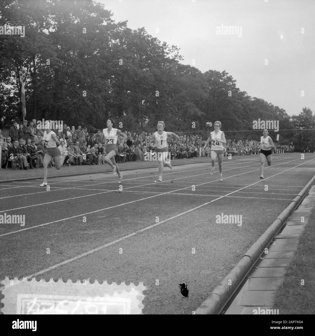 Leichtathletik Niederlande gegen Polen Damen, 100 Meter Datum: 9. August 1964 Ort: Niederlande, Polen Schlagwörter: ALETICS Stockfoto