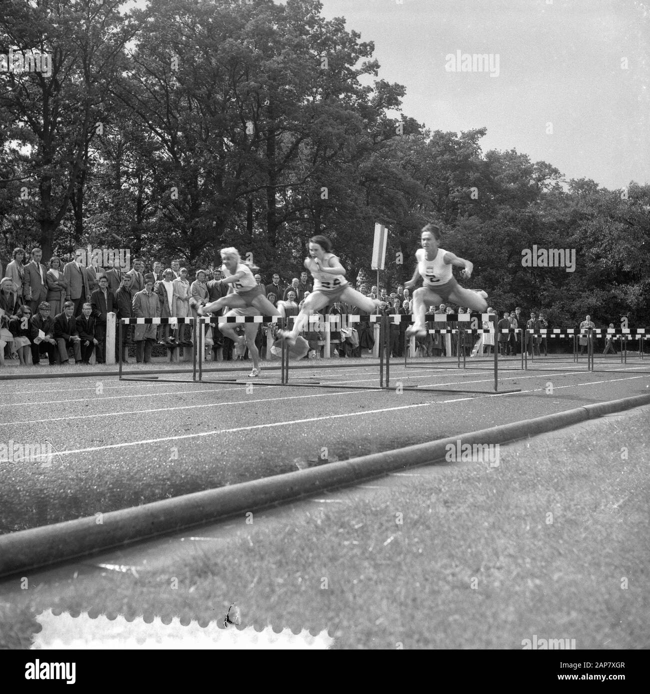 Leichtathletik Niederlande gegen Polen Damen, Kryzanski und L. Hinweise Datum: 9. August 1964 Ort: Niederlande, Polen Schlagwörter: ALETICS Personenname: Kryzanski, L. Hints Stockfoto