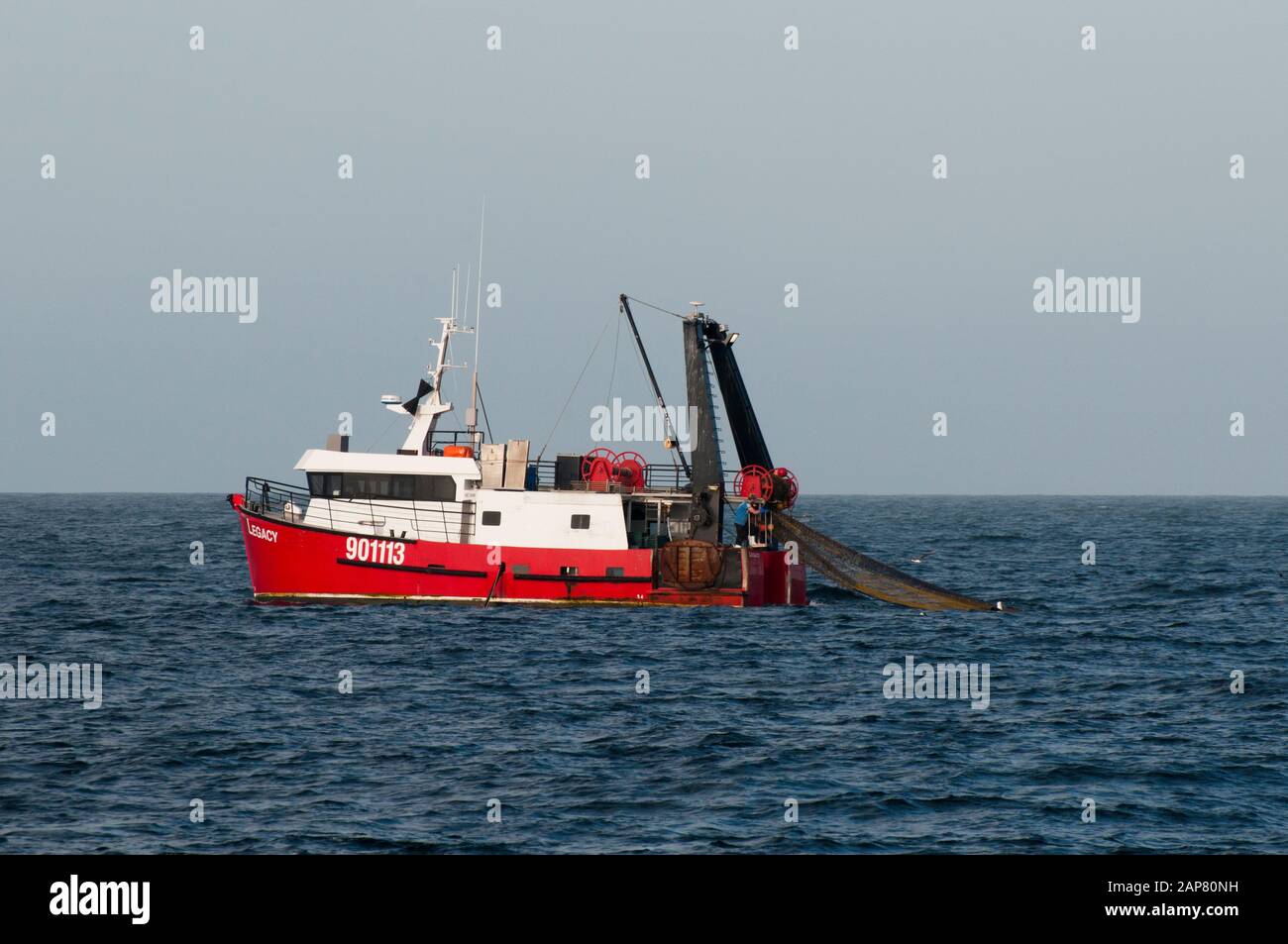 Fischtrawler vor Kaikoura, Südinsel, Neuseeland. Die tiefen Gewässer des Kaikoura Canyon begünstigen Wale, Delfine und andere Säugetiere. Stockfoto