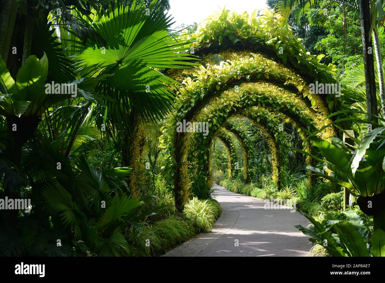 Singapur - 12. September 2018 - Blumenbögen im National Orchid Garden in Singapore Botanic Gardens Stockfoto