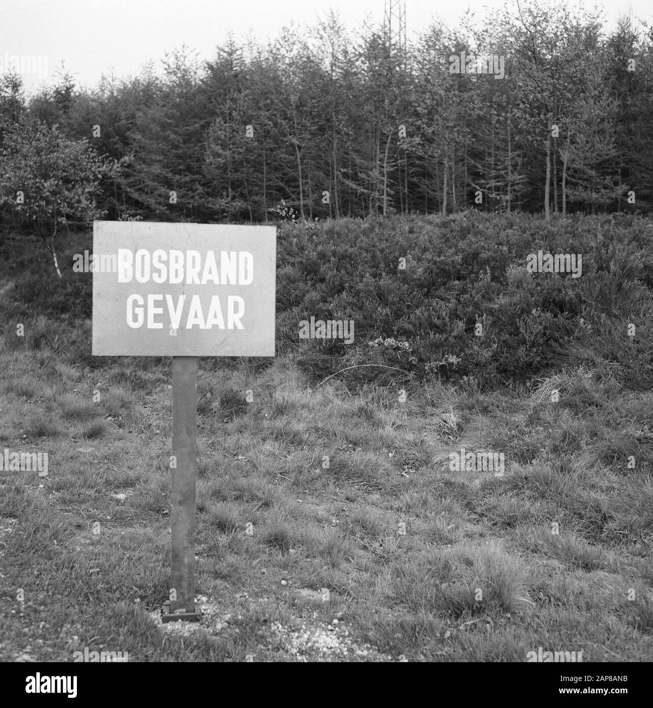 Waldbrand und Sturmschäden, Schilder Datum: Undatierte Stichwörter: Schilder, Waldbrand und Sturmschäden Stockfoto