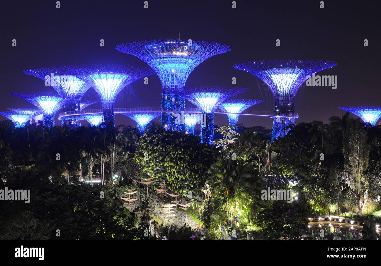 Singapur - 8. SEPTEMBER 2018 - Der künstlich leuchtende Supertree Grove, der sich über der Nachtlandschaft in Gardens by the Bay erhebt Stockfoto