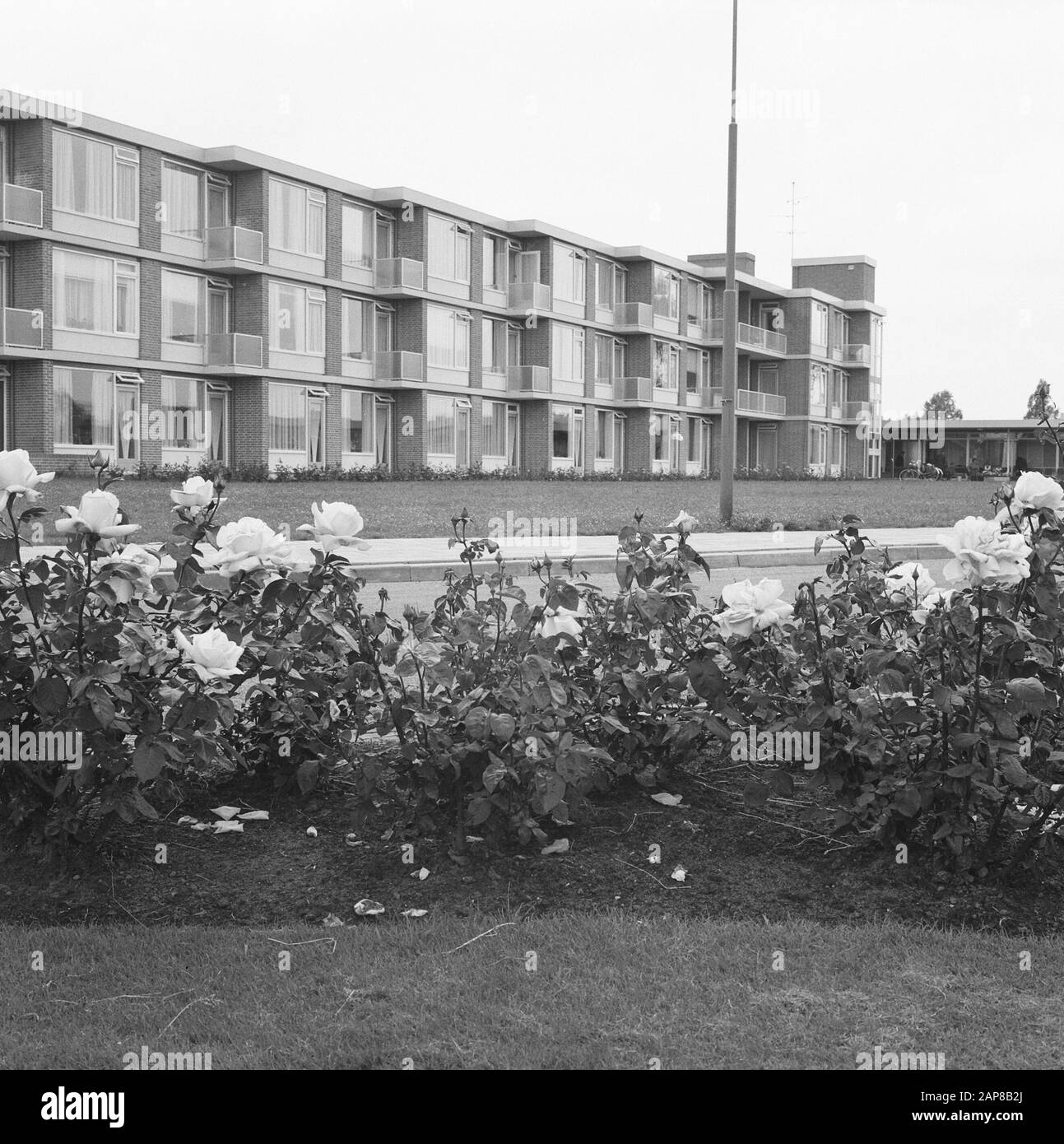 Ältere Wohnungen, Gärten Datum: August 1965 Standort: Barneveld Schlagwörter: Ältere Wohnungen, Gärten Stockfoto
