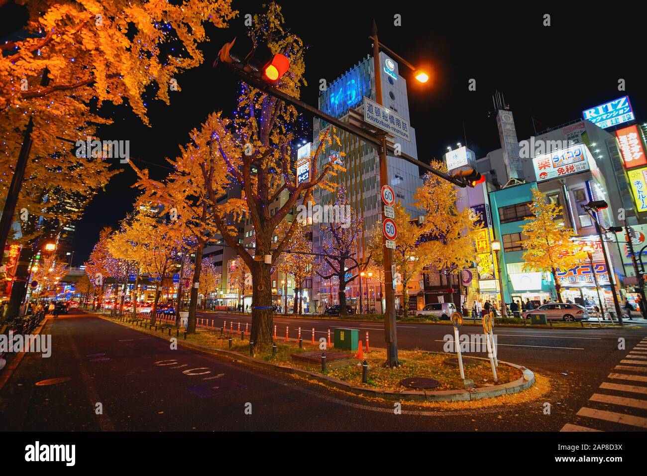 Osaka, Japan - 16. Dezember 2019: Nachtaufnahme mit schönen gelben Blättern von Ginkgo im Namba-Viertel, Osaka Stadt, Japan. Stockfoto