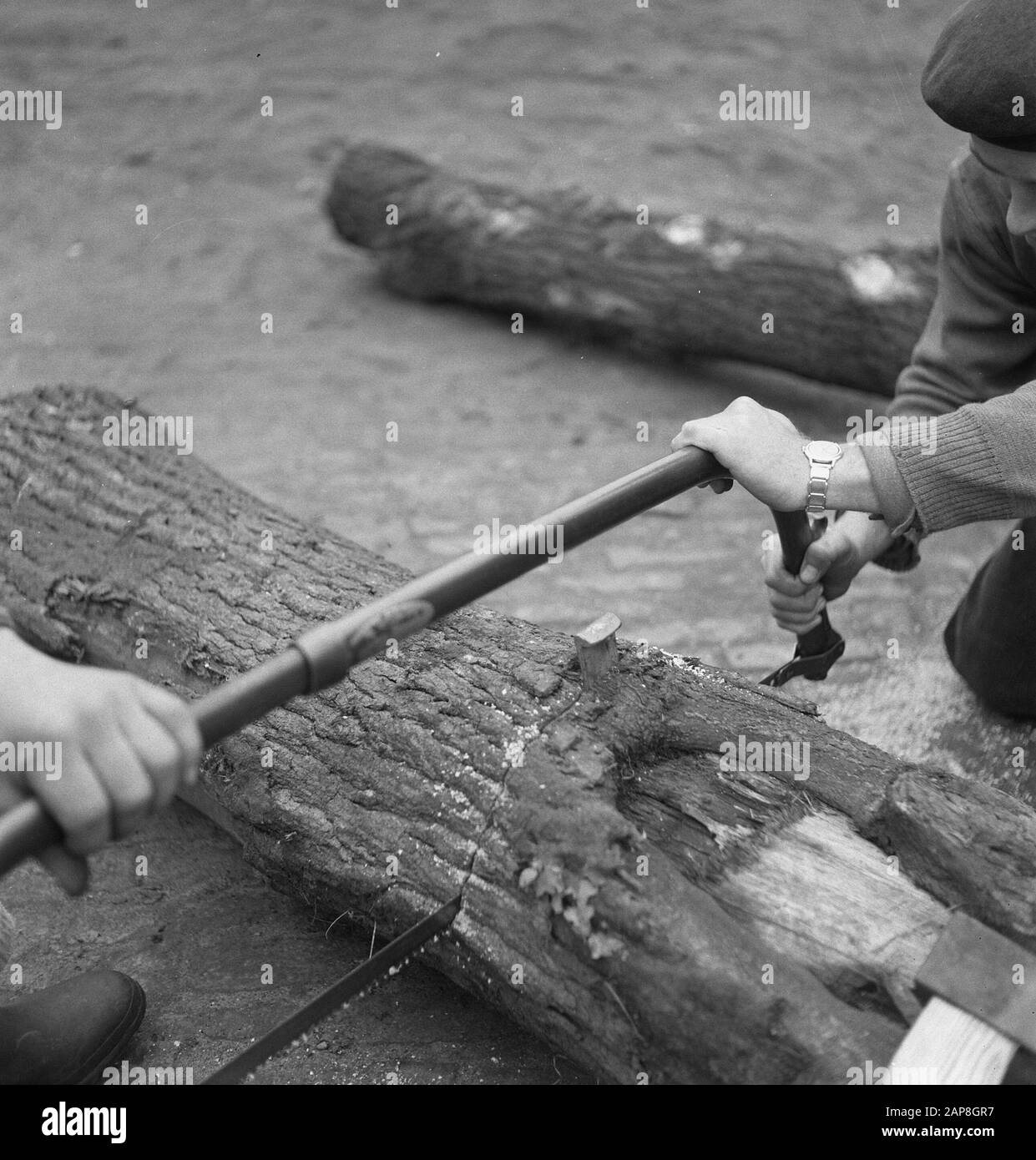 Arbeiter, Holzbearbeitung, Werkzeuge, Sägen Datum: Undatierte Schlüsselwörter: Arbeiter, Werkzeuge, Holzbearbeitung, Säge Stockfoto