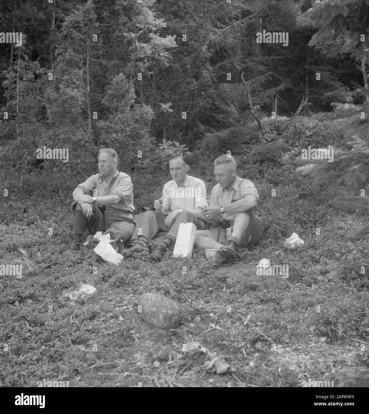 Wald, Männer, Pausen, Essen, Getränkedatum: Undatierte Stichwörter: Wälder, Getränke, Essen, Männer, Pausen Stockfoto