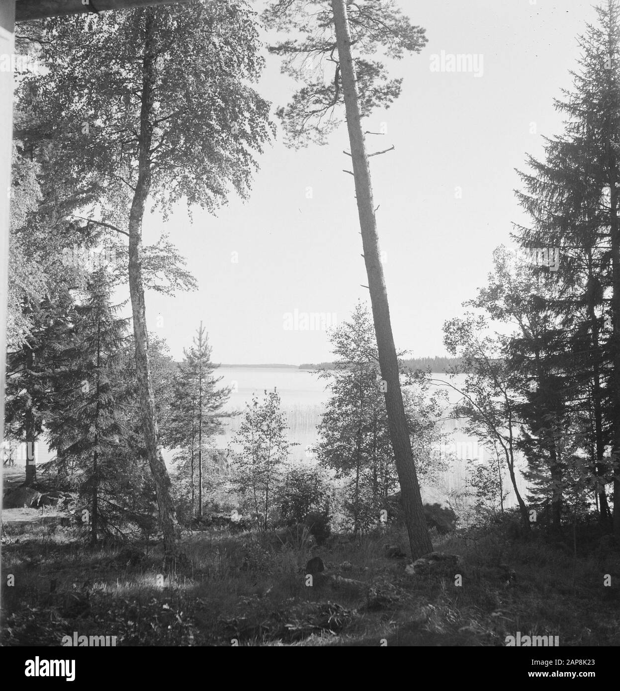 Bäume, Landschaften Datum: Undatierte Stichwörter: Bäume, Landschaften Stockfoto