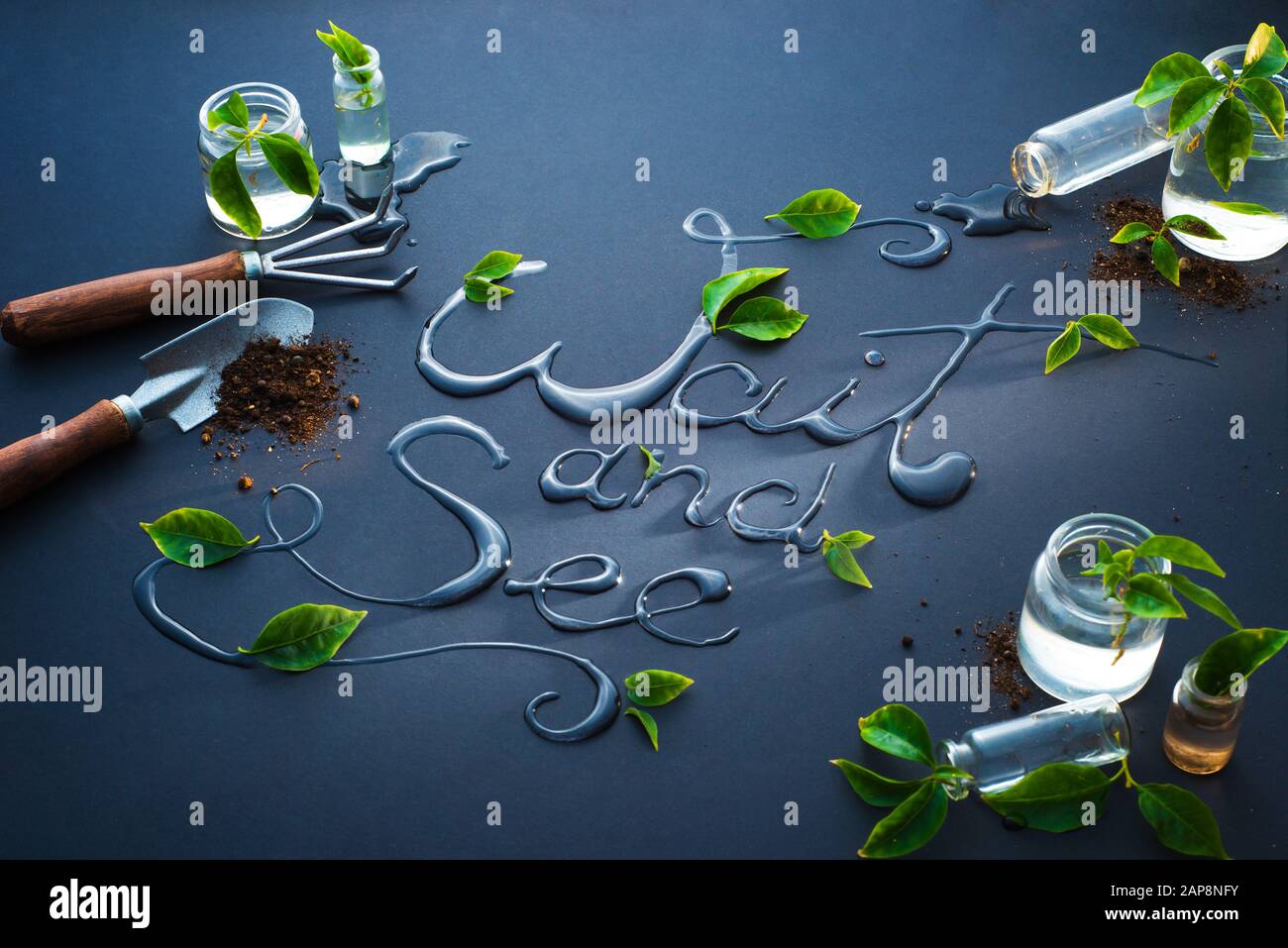 Warten Sie, und sehen Sie sich den Text an, der mit Wasser, Gartenarbeit, Frühling und wachsendem Konzept geschrieben wurde Stockfoto