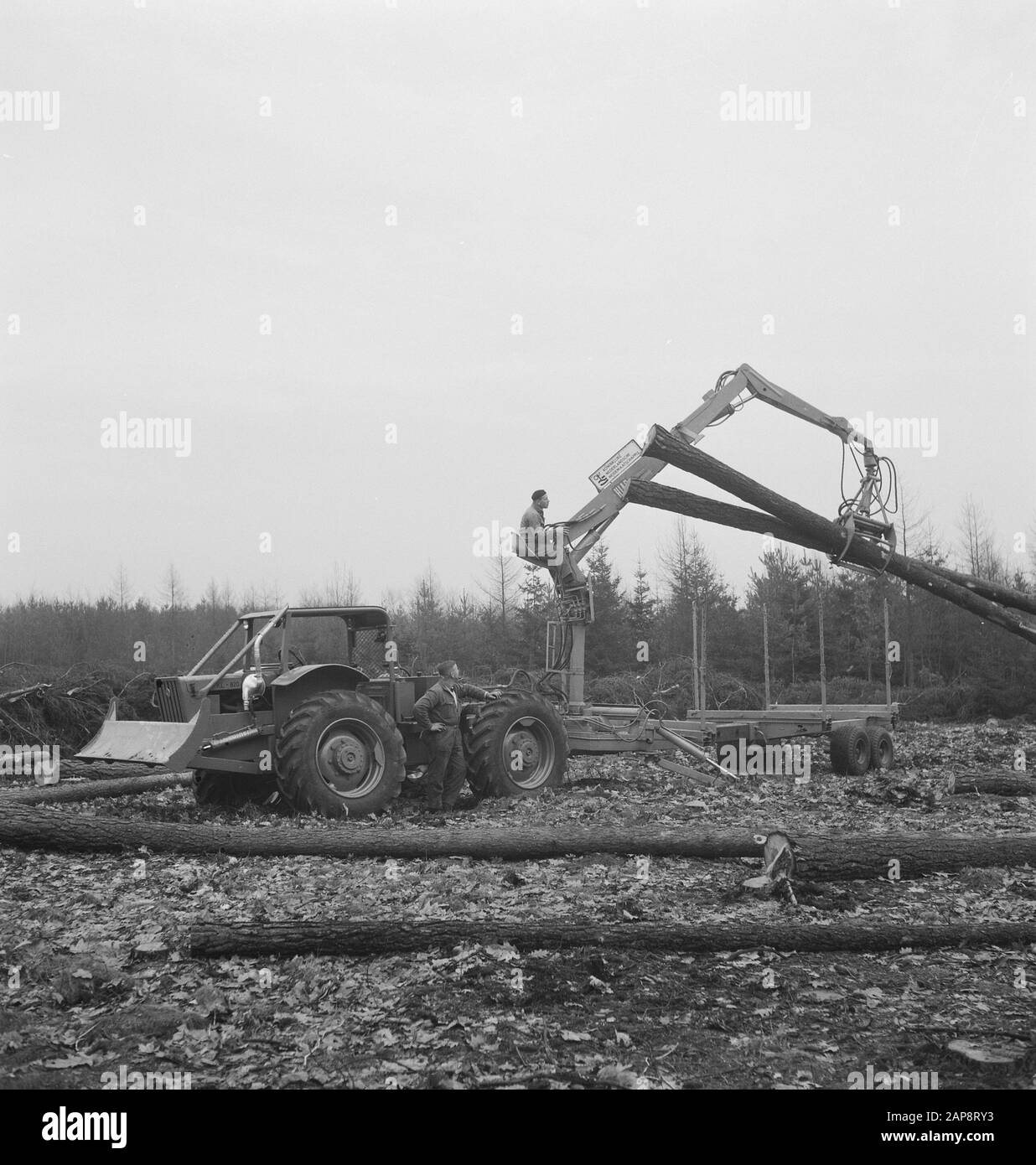 Forstwirtschaft, Landmaschinen, Werkzeuge, Arbeiter, Holzstämme, Anhänger, Hebearbeiten, Traktoren Datum: Undatierte Schlüsselwörter: Anhänger, Arbeiter, Baumstämme, Forstwirtschaft, Landmaschinen, Hebearbeiten, Werkzeuge Personenname: Traktoren Stockfoto