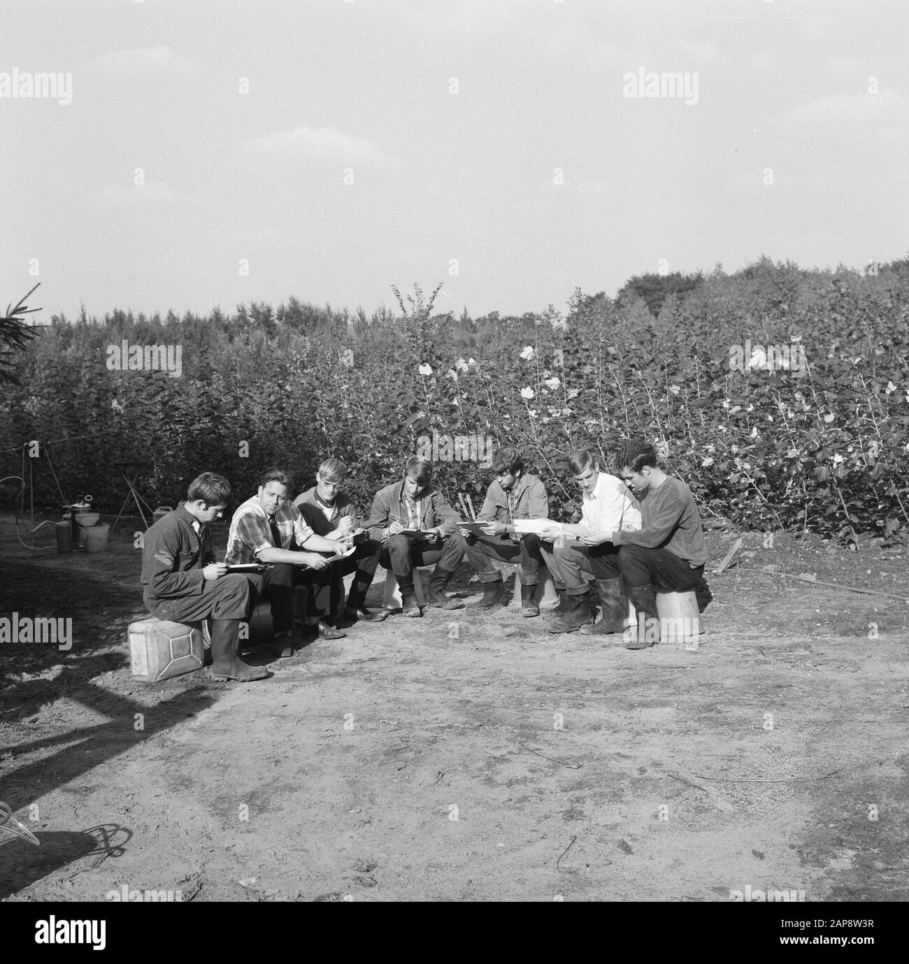 Arbeiter, Sträucher, Terrains, Sitzen, Gespräche Datum: Undatierte Schlüsselwörter: Arbeiter, Gespräche, Sträucher, Terrains, Sitzen Stockfoto