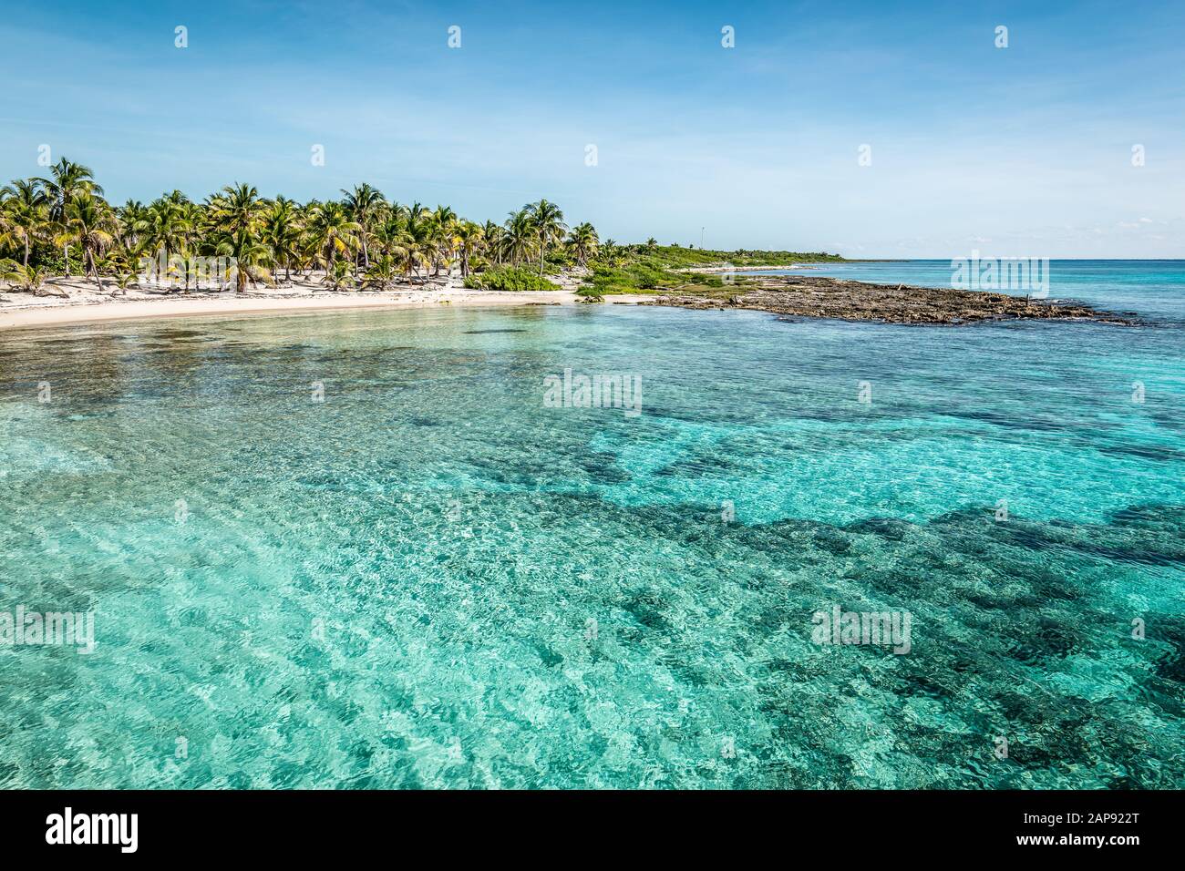 Tropischer Strand mit Palmen und türkisfarbenem Wasser am Hafen von Costa Maya, Mexiko. Stockfoto