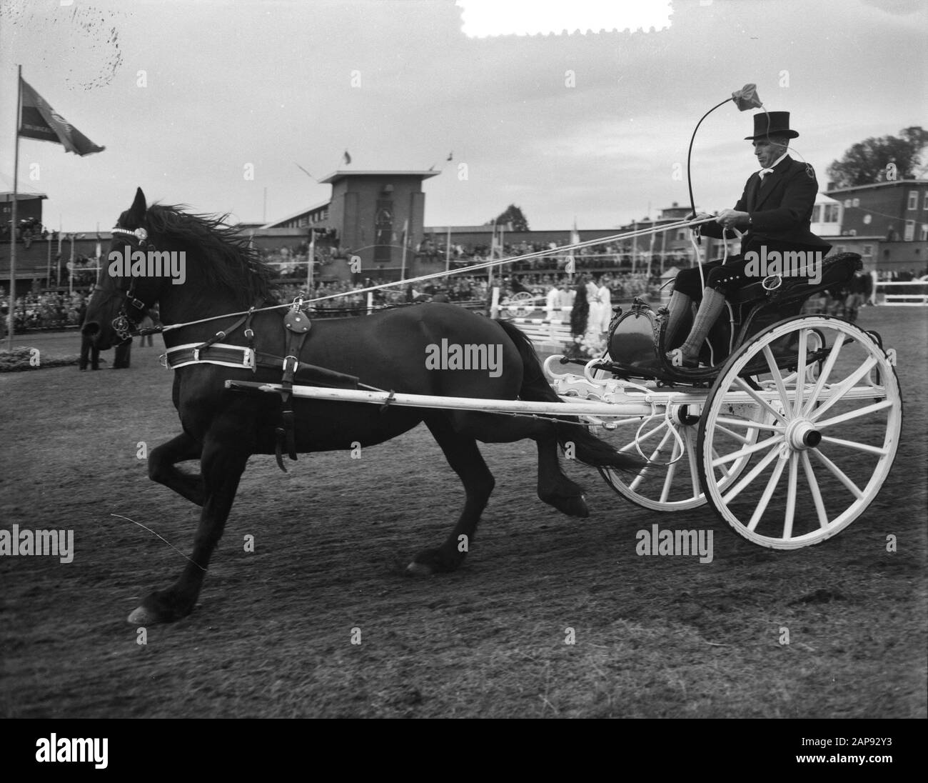 Concours Hippique Utrechter Datum: 14. September 1955 Ort: Utrechter Schlüsselwörter: Concours Hippique Stockfoto