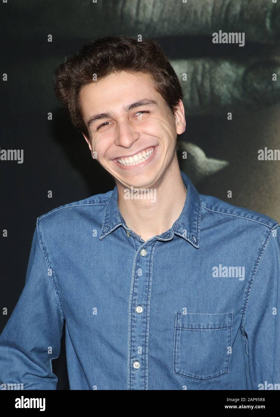 Hollywood, Ca. Januar 2020. Schauspieler Gabe, bei der Premiere Von Universal Pictures "The Turning" im TCL Chinese Theatre in Hollywood, Kalifornien am 21. Januar 2020. Kredit: Faye Sadou/Media Punch/Alamy Live News Stockfoto