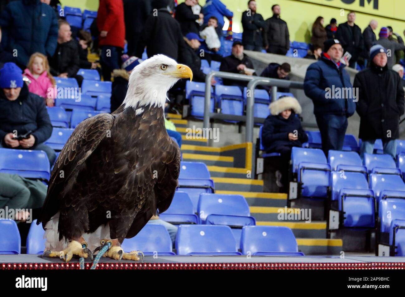 London, Großbritannien. Januar 2020. Das Maskottchen von Crystal Palace, Kayla, der Adler, thront während des Premier-League-Spiels zwischen Crystal Palace und Southampton im Selhurst Park, London, England am 21. Januar 2020. Foto von Carlton Myrie. Nur redaktionelle Nutzung, Lizenz für kommerzielle Nutzung erforderlich. Keine Verwendung bei Wetten, Spielen oder einer einzelnen Club-/Liga-/Spielerpublikationen. Kredit: UK Sports Pics Ltd/Alamy Live News Stockfoto