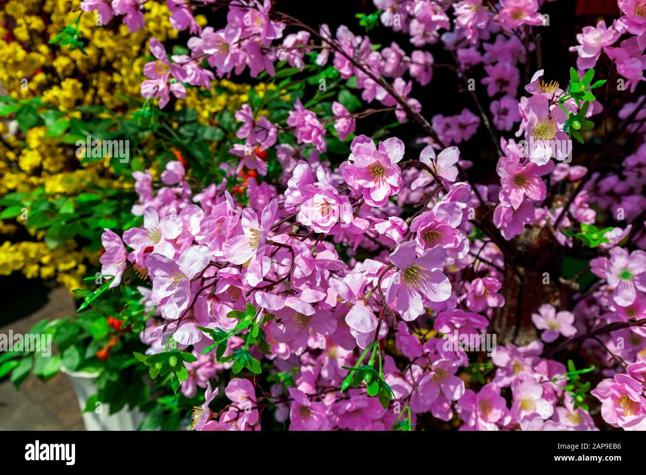 Auf einem Gehweg vor einem Laden vor dem chinesischen Neujahr werden auf einer Stadtstraße in Phnom Penh, Kambodscha, gefälschte lila chinesische Blumen ausgestellt. Stockfoto