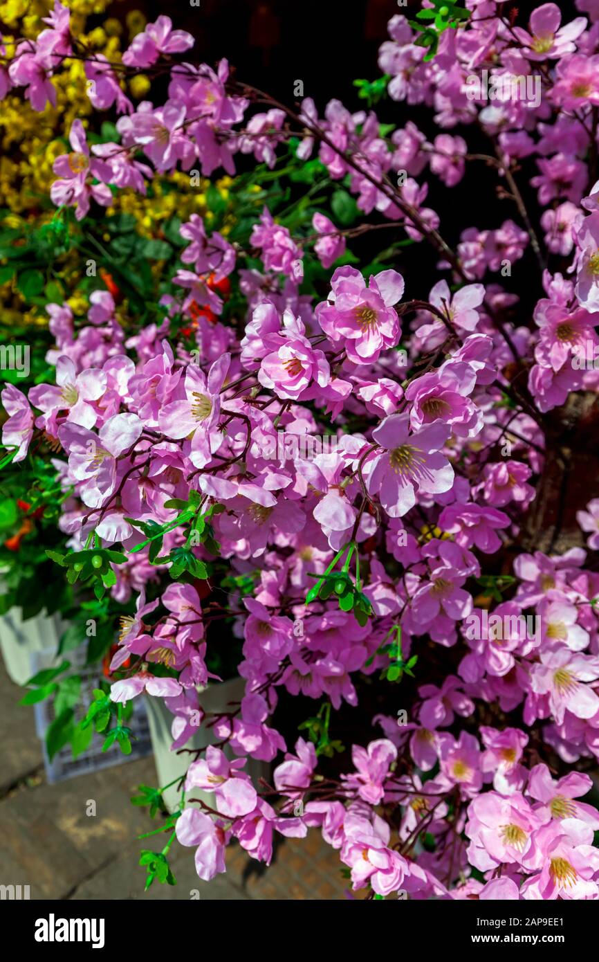 Auf einem Gehweg vor einem Laden vor dem chinesischen Neujahr werden auf einer Stadtstraße in Phnom Penh, Kambodscha, gefälschte lila chinesische Blumen ausgestellt. Stockfoto
