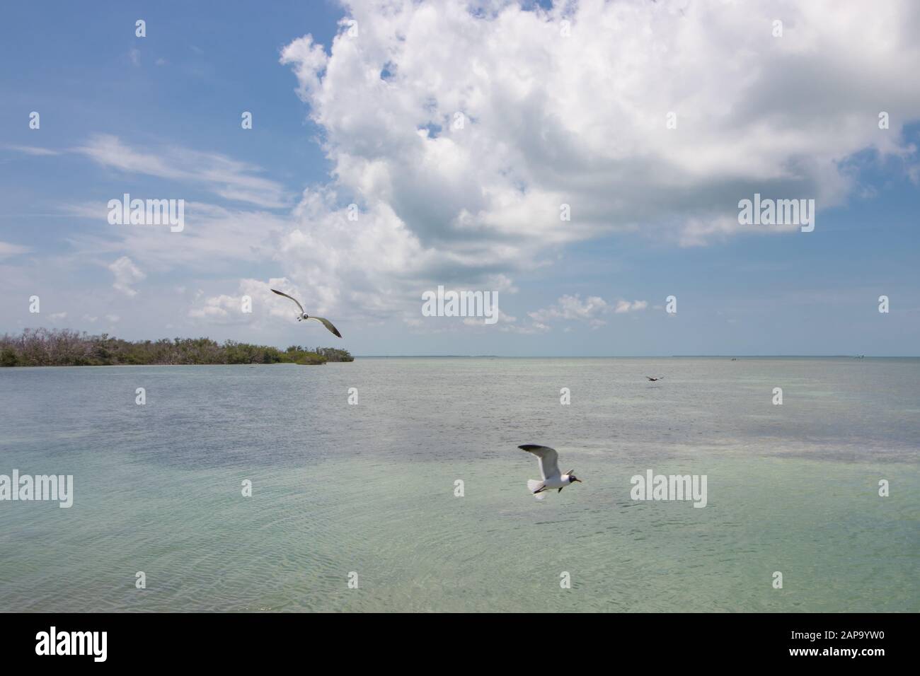 Keys Island florida, 11 km Brücke Stockfoto