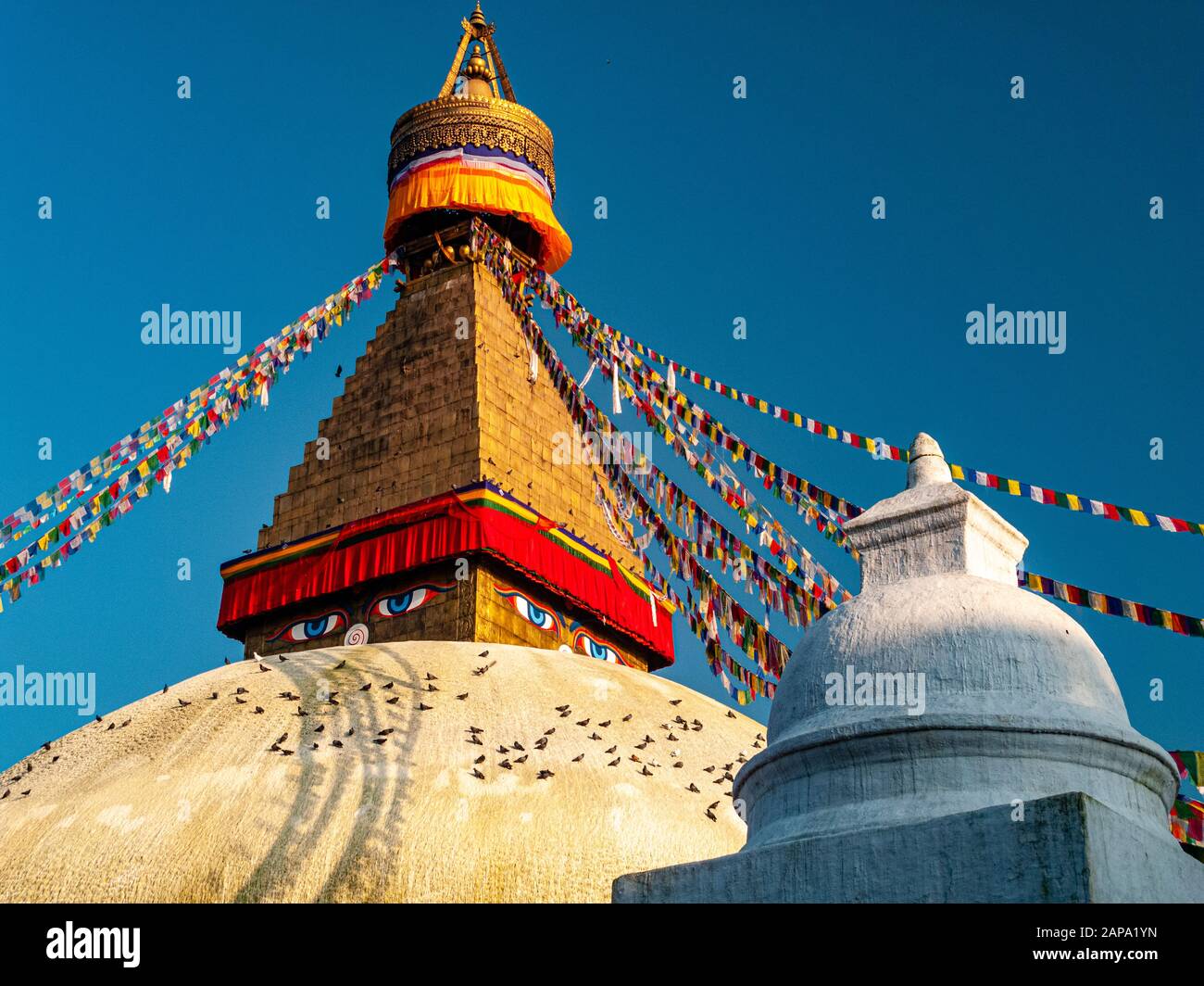 Bunte buddhistische Gebetsfahnen führt an die Spitze der Boudha Stupa in der Vorstadt Boudhanath Stockfoto