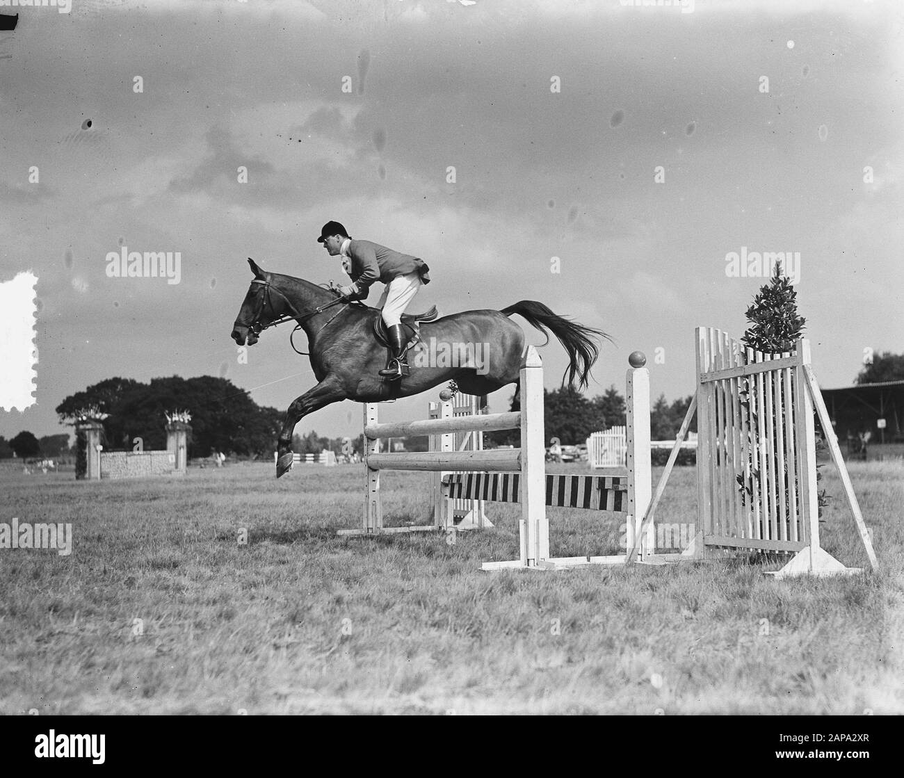 Concours Hippique Den Haag. Prinz Bernhard Datum: 16. August 1952 Schlagwörter: Pferde, springender persönlicher Name: Bernhard, Fürst Stockfoto