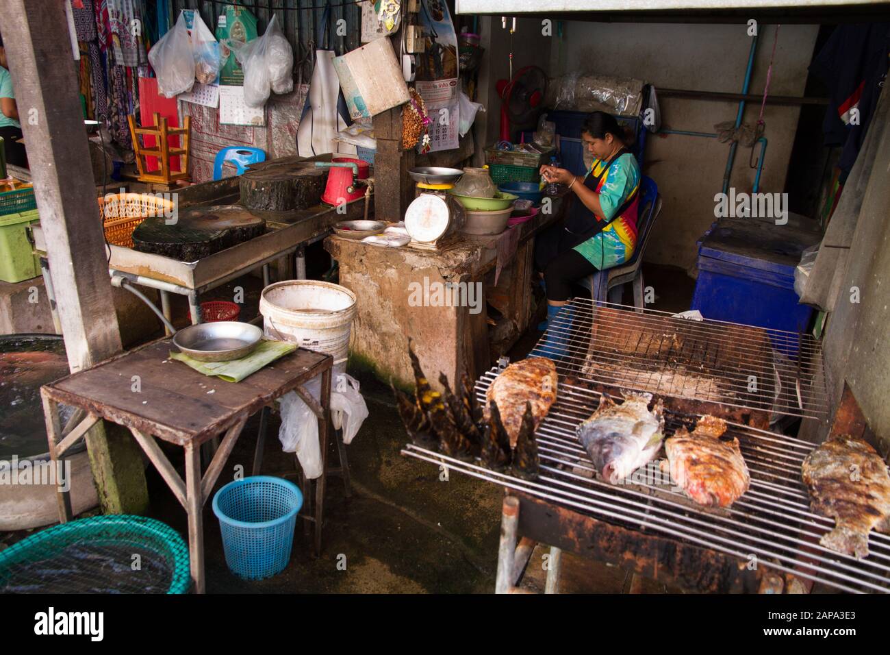 Straße Lebensmittel-Stall, Fische auf BBQ, Chiang Mai Thailand Stockfoto