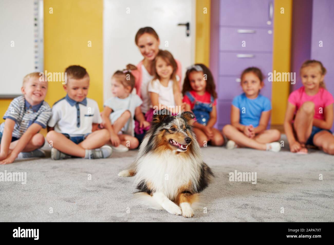 Therapiehund und Kindergruppe im Hintergrund Stockfoto
