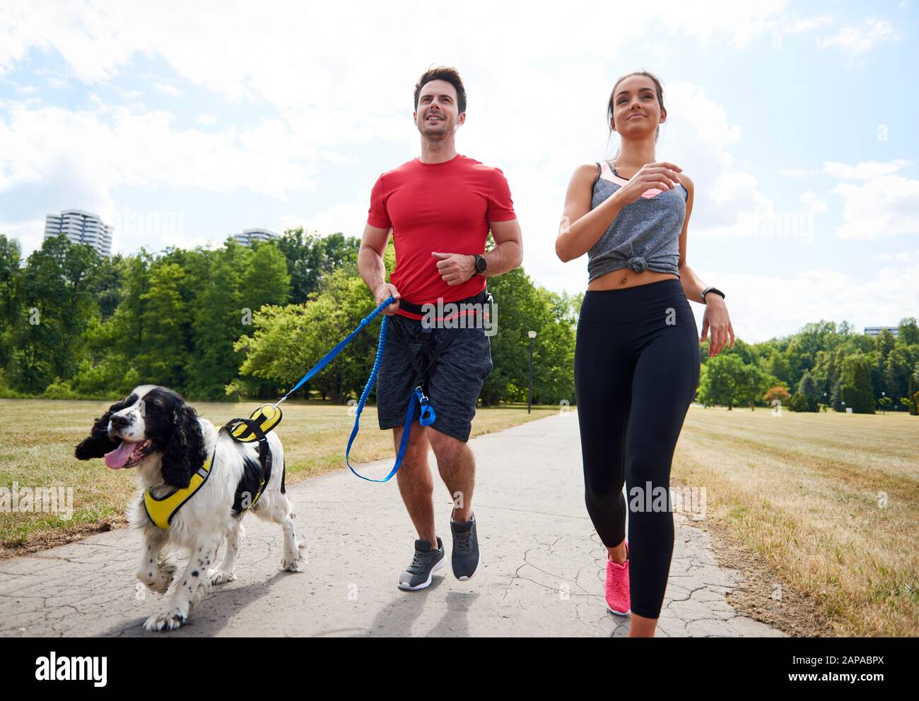 Morgendliches laufen mit Hund und Partner Stockfoto