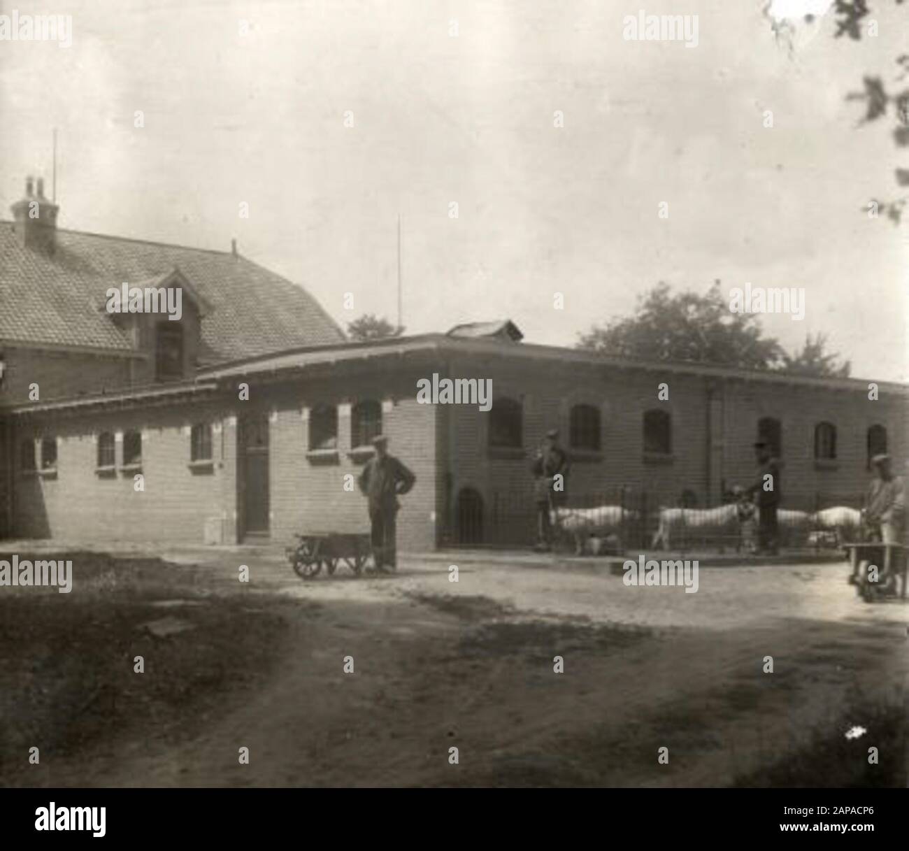 Die Farm, die dem Royal Home für die KNIL-Soldaten Bronbeek in Arnheim gehört. Niederlande, 1917. Stockfoto